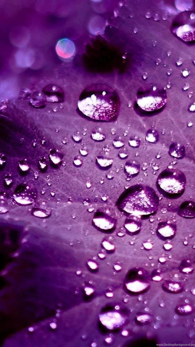 iPhone 5 Backgrounds HD Wallpapers For iPhone 5 Images 40