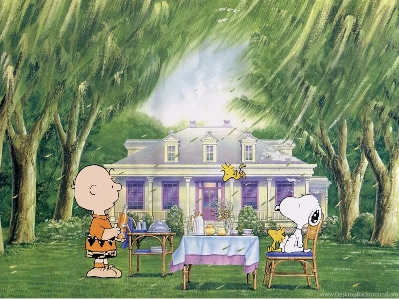Charlie Brown And Snoopy Picnic Photo By LMSC