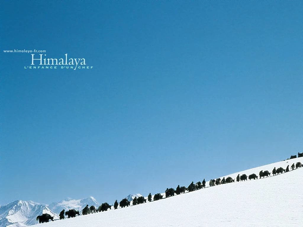 Himalaya_001.jpg