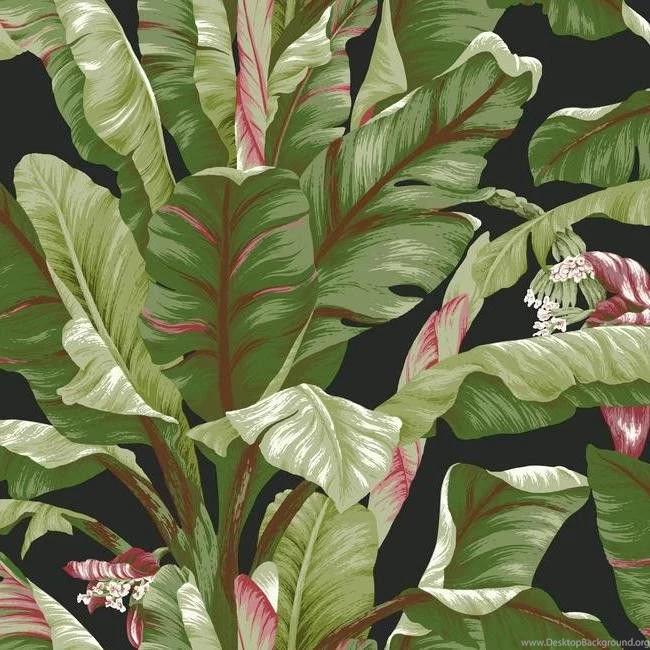 Banana Leaf Wallpapers In Green And Black Design By York ...