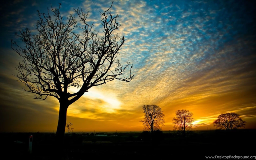 Nature+Wallpapers+For+Free+%283%29.jpg