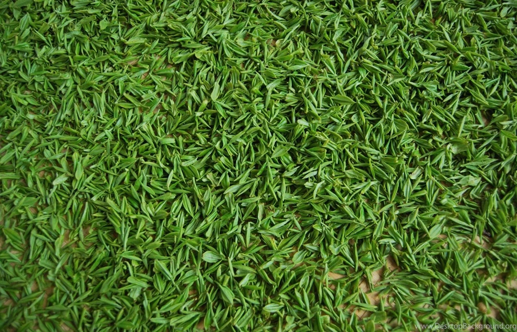 Green Tea 12992 Tea Drinks Food