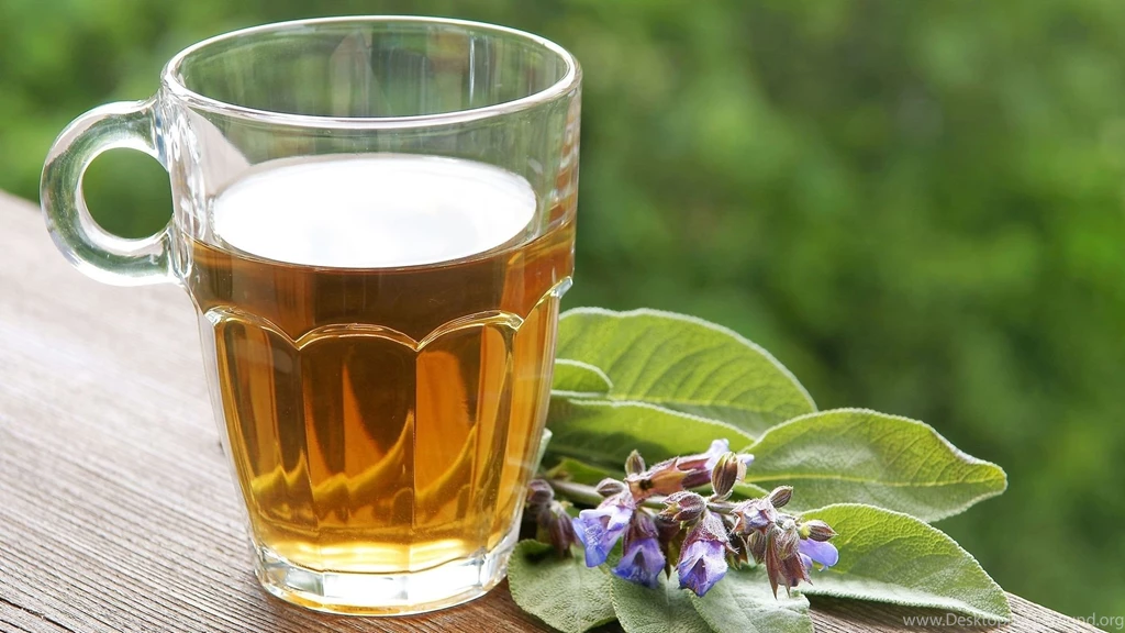 Green Tea HD Beautiful Wallpapers Free HD Wallpapers Download ...