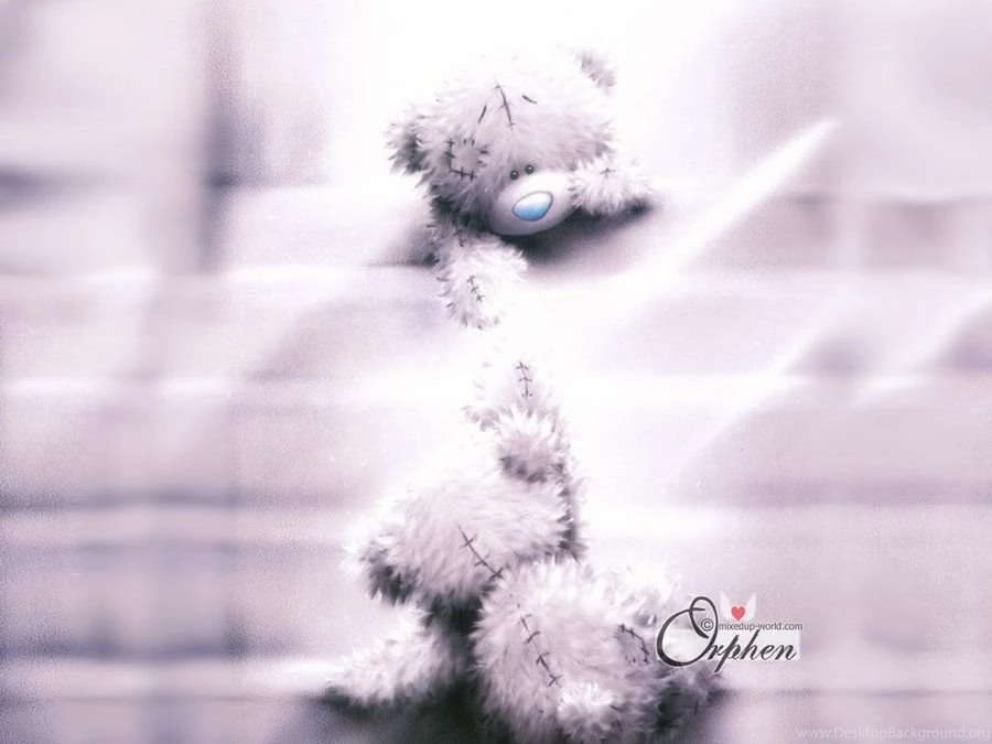 Bears Wallpapers By Orphen5 On DeviantArt