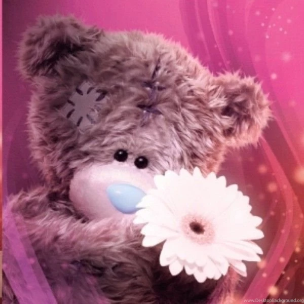 3D Tatty Teddy Holding A White Flower The Unique Gift Store Ltd ...