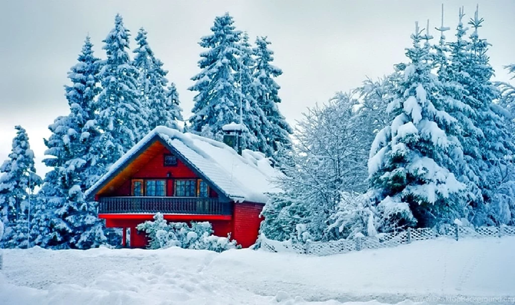 Winter Photography Wonderful Tree Sun Snowflakes Snowflake Cold ...