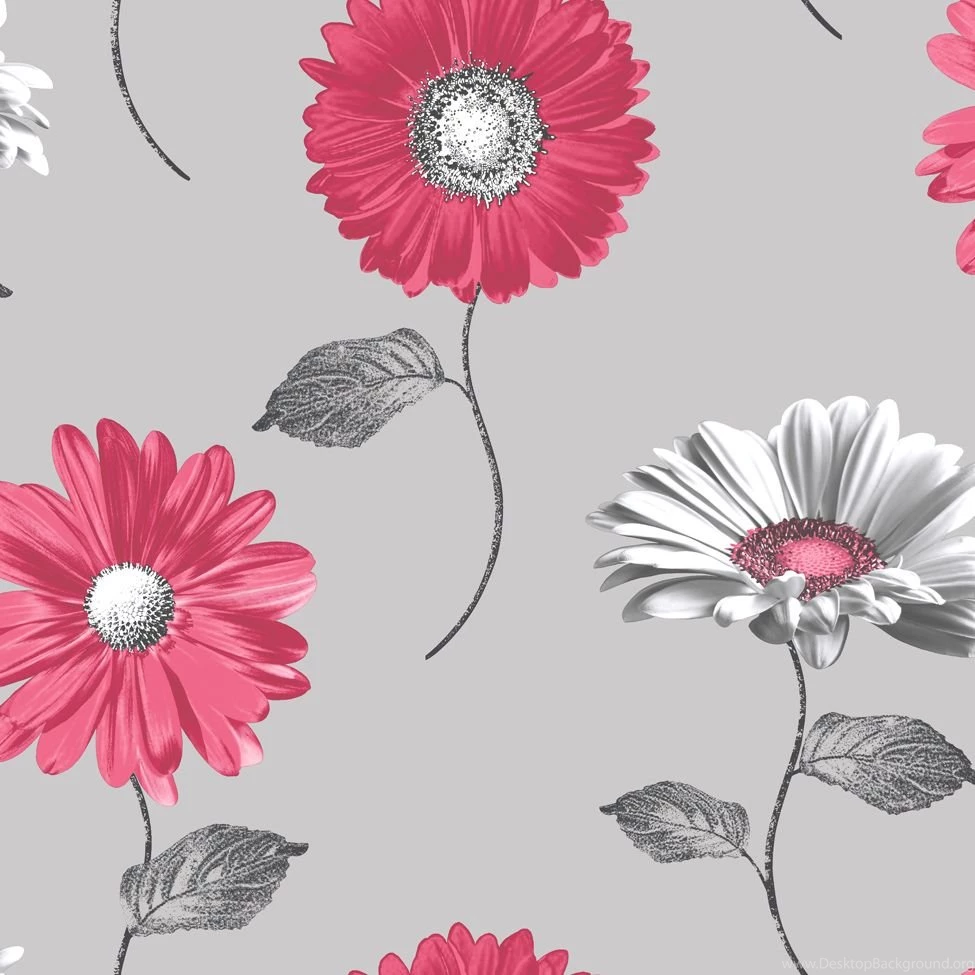 Floral Wallpapers Daisy MurivaMuriva