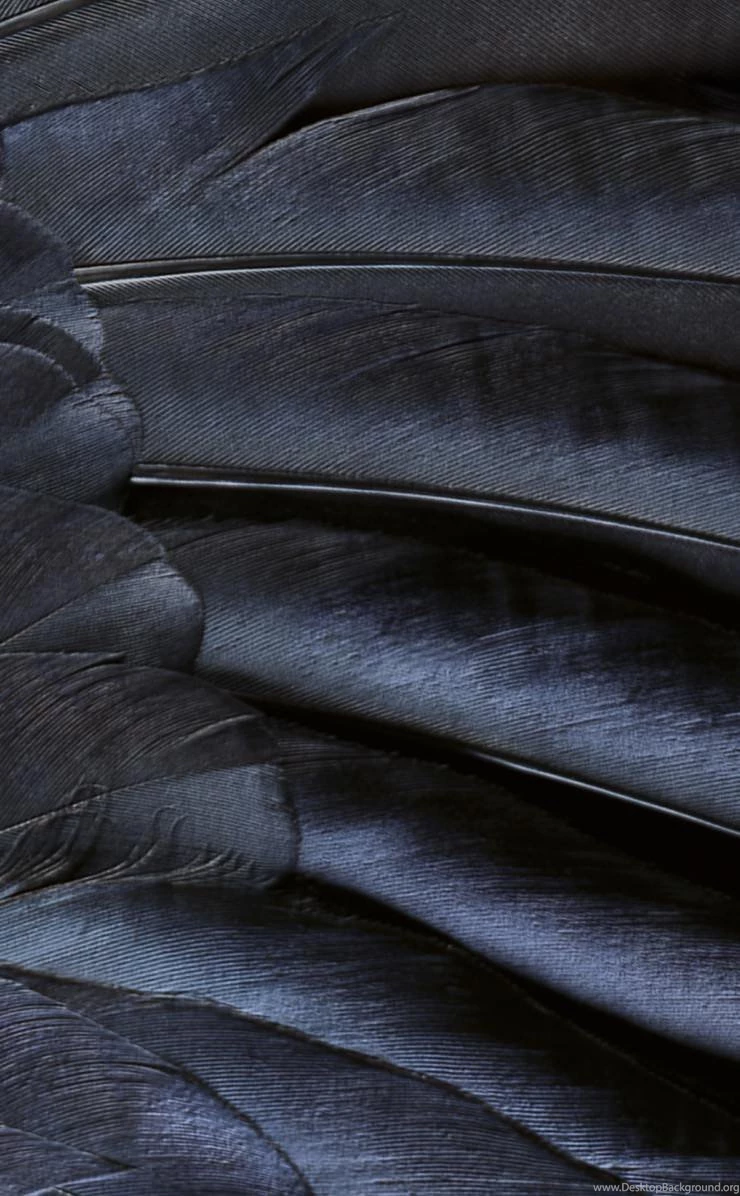 Leaf Black Cool IOS9