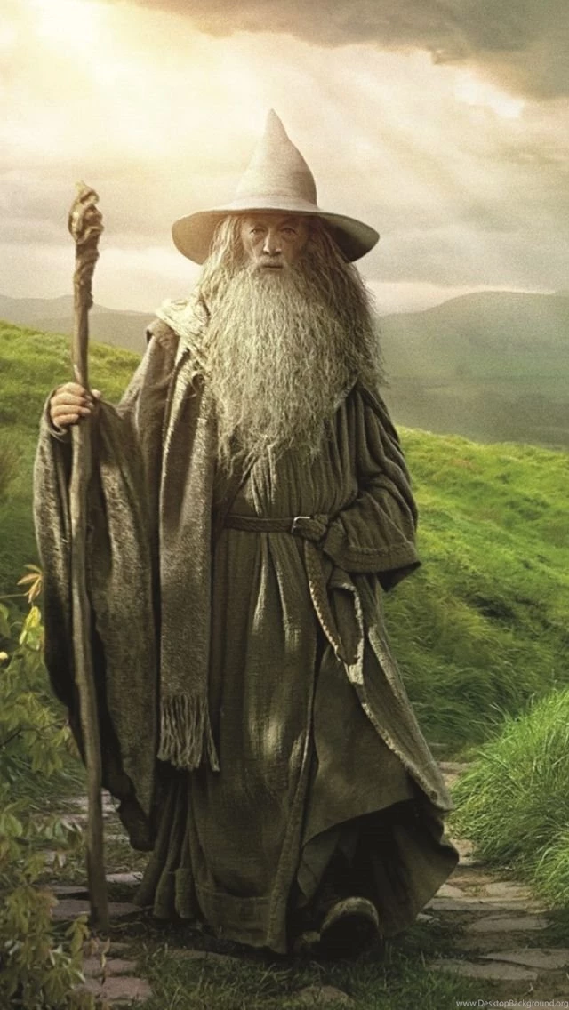 Gandalf Lord of the Rings Tolkien 640x1136.jpg