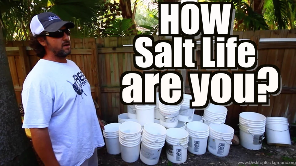 How Salt Life Are You? YouTube