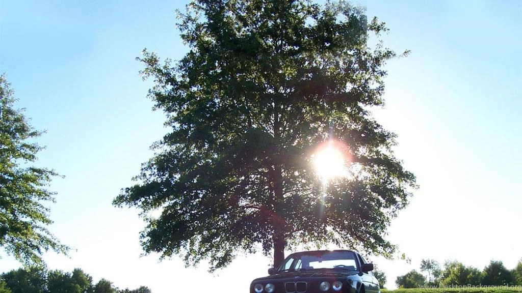 BMW E34 WALLPAPER   (