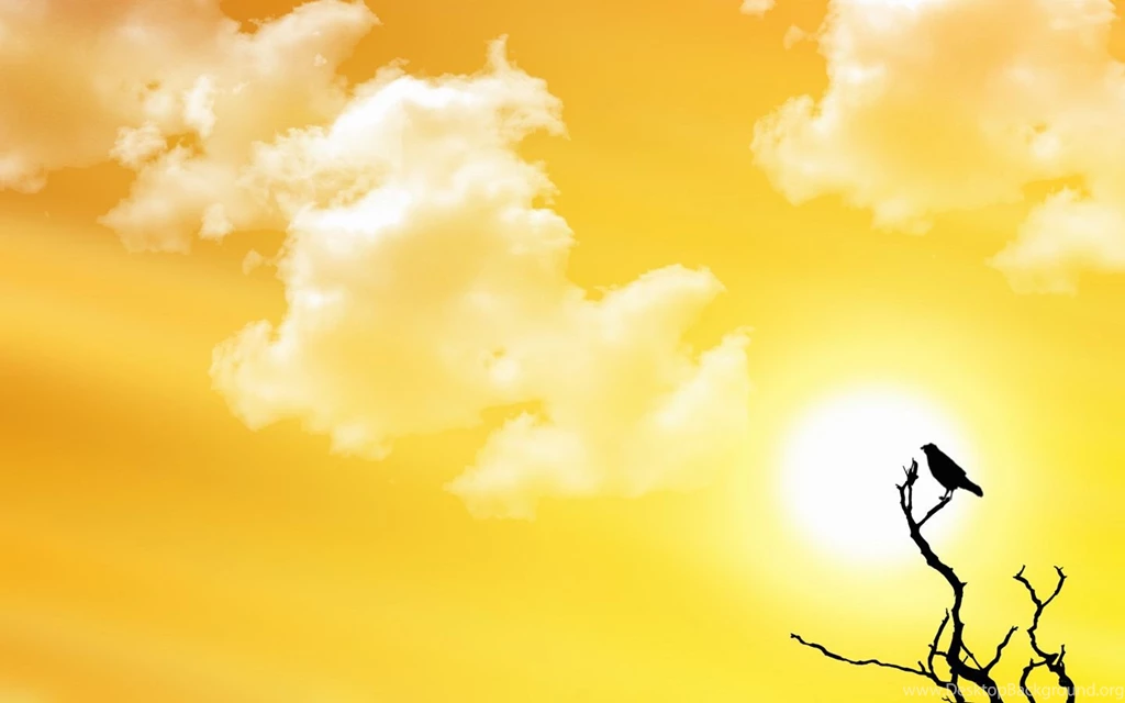 High Resolution Photos Free Desktop Backgrounds