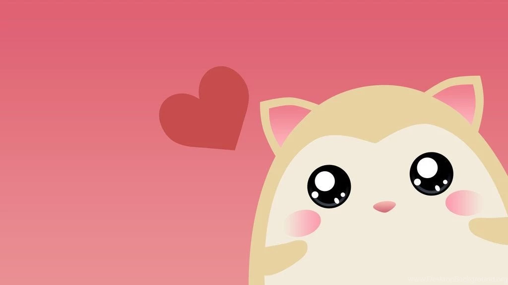 Lovely Raccoon Wallpapers By Neko 13 On DeviantArt