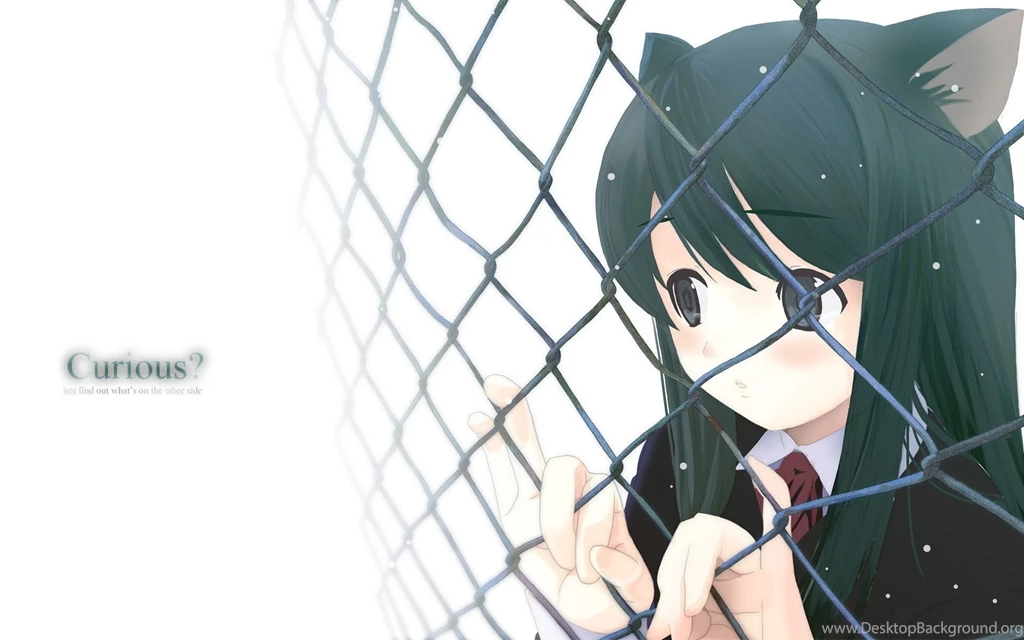 Curious? Neko Anime Characters Wallpapers (7368623) Fanpop Page 9