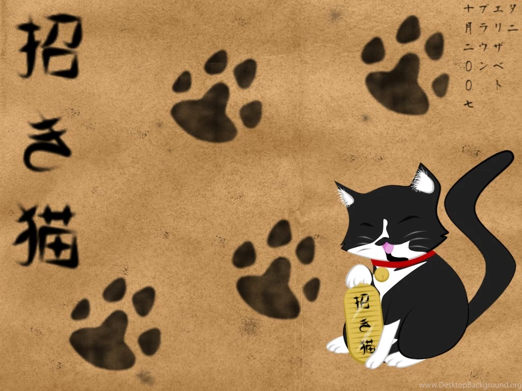 Neko Wallpapers Wallpapers Cave