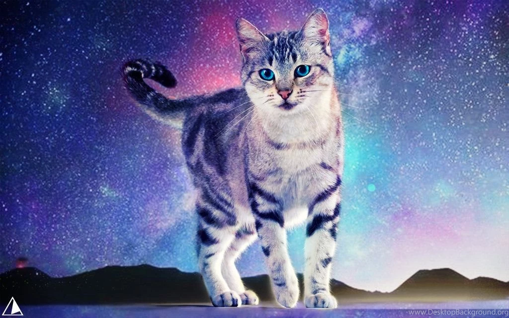 Neko Wallpapers By Aur souler On DeviantArt