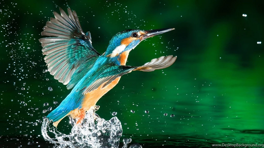 Fonds D'écran Rare : Tous Les Wallpapers Rare