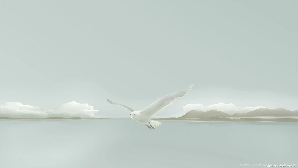 Seagull 1920x1080.jpg