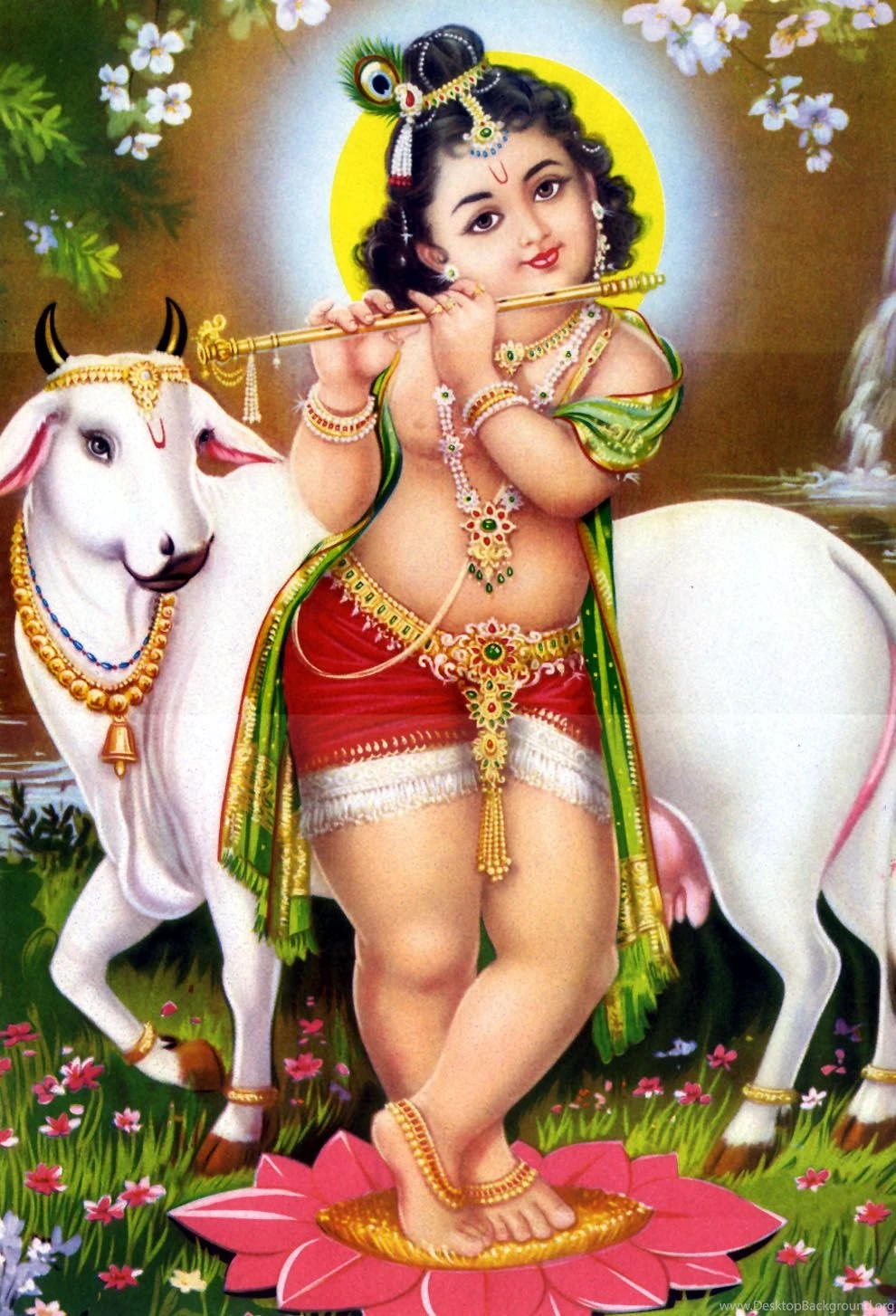Murli manohar krishna hd wallpaper.jpg