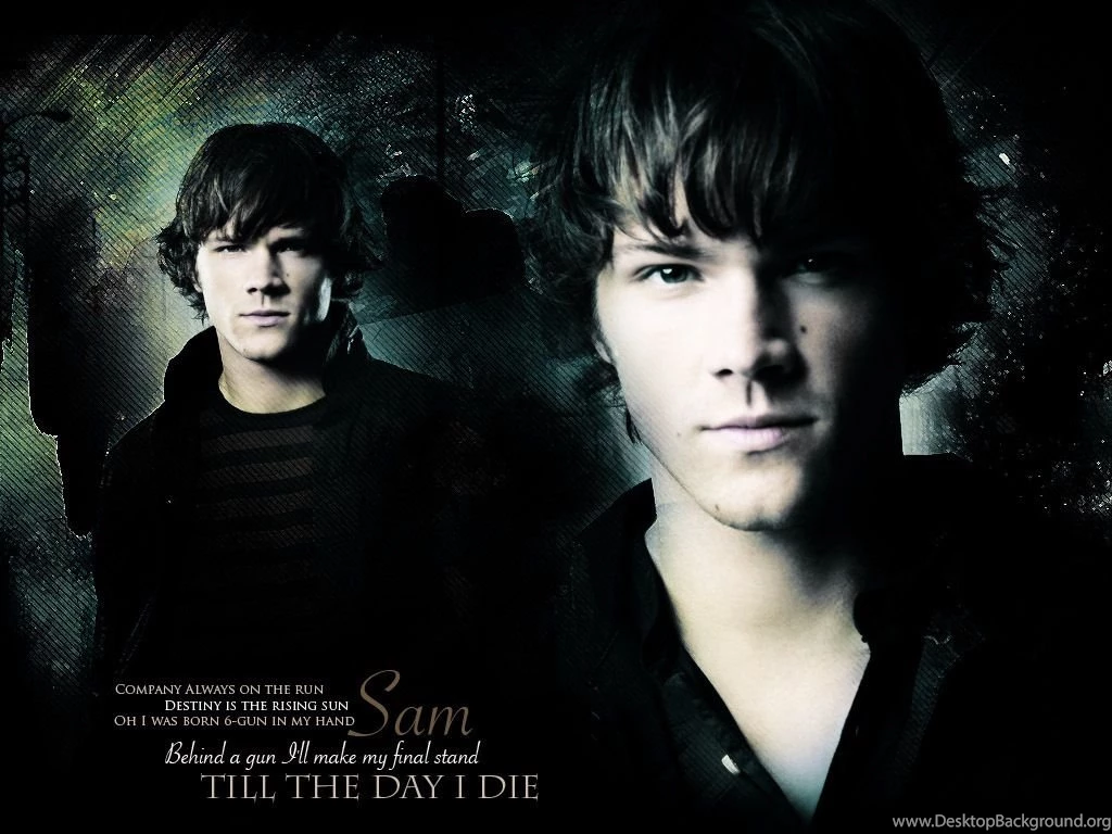 Sammy   Supernatural Wallpapers (26072161)   Fanpop