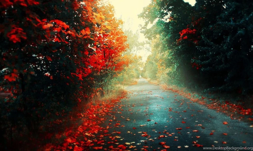 Desktop Images, Colorful Backgrounds, Art, Cool, Paints, Textures ...