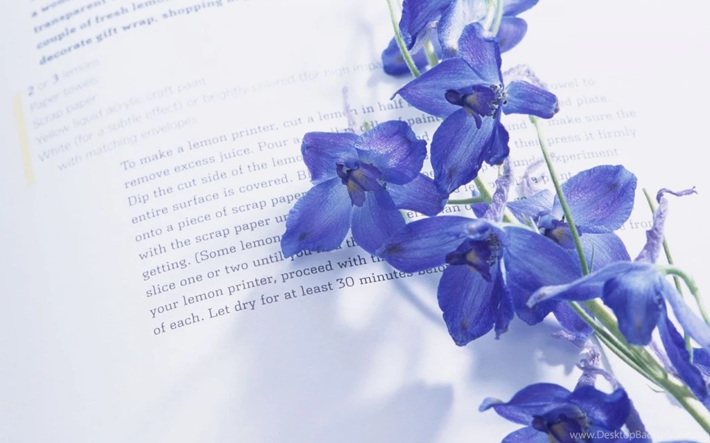 Blue flower 8.jpg