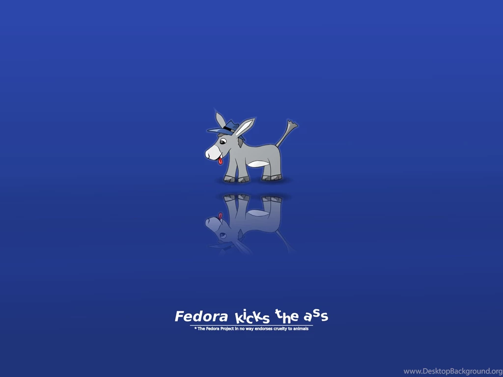 Humorous Wallpapers Wallpapers Cave