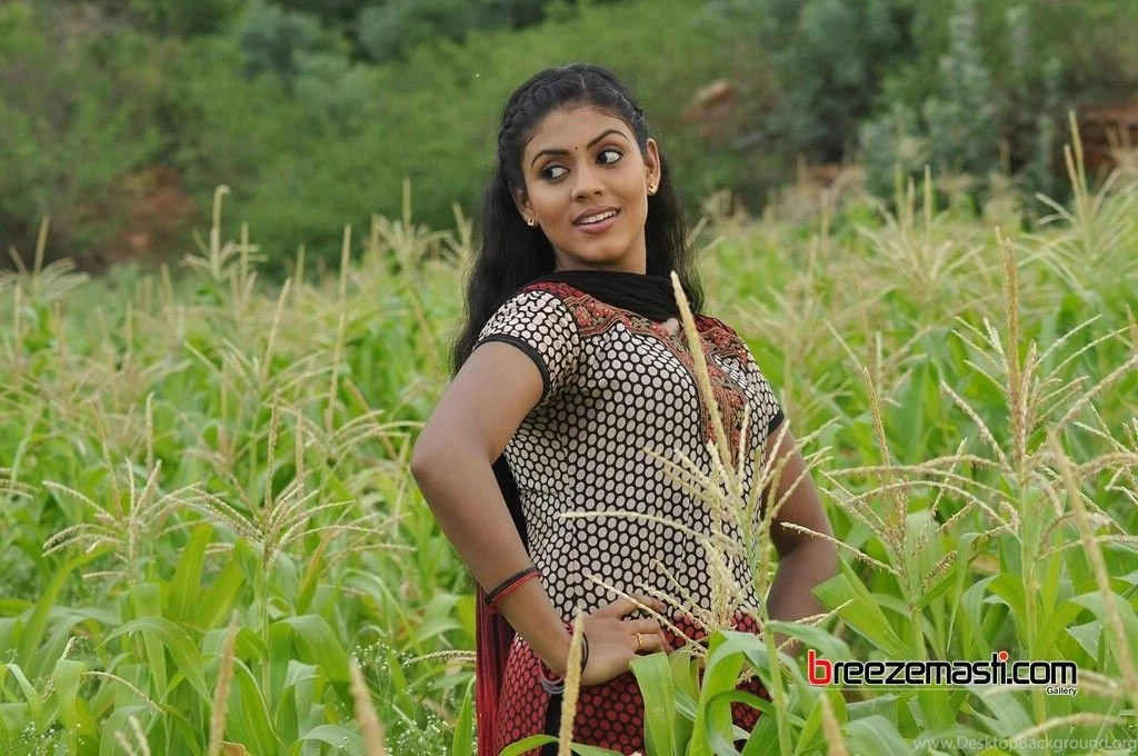 Iniya Tamil Actress Wallpapers 5   Indian Actress Gallery Bollywood ...
