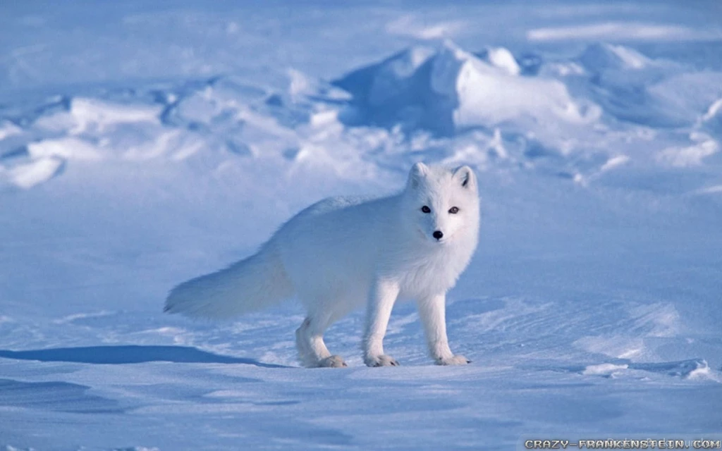 State Something Completely Random Time!" [Archive]   Page 88 ...