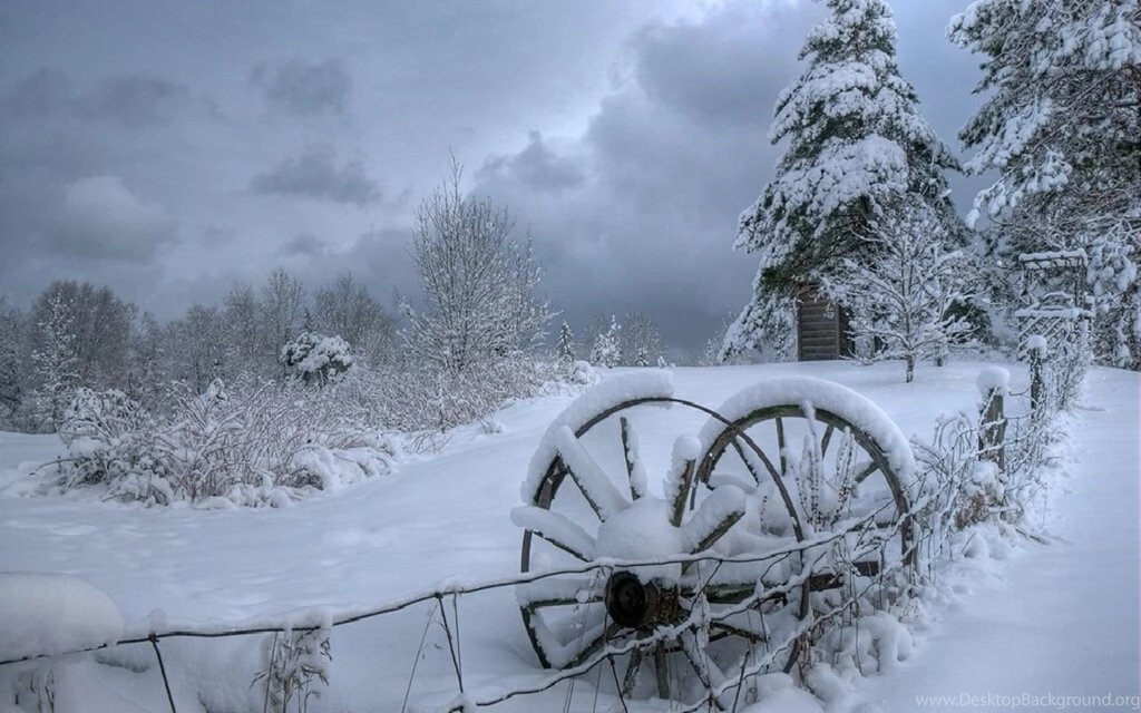 WINTER NIGHT WALLPAPERS ZXC036