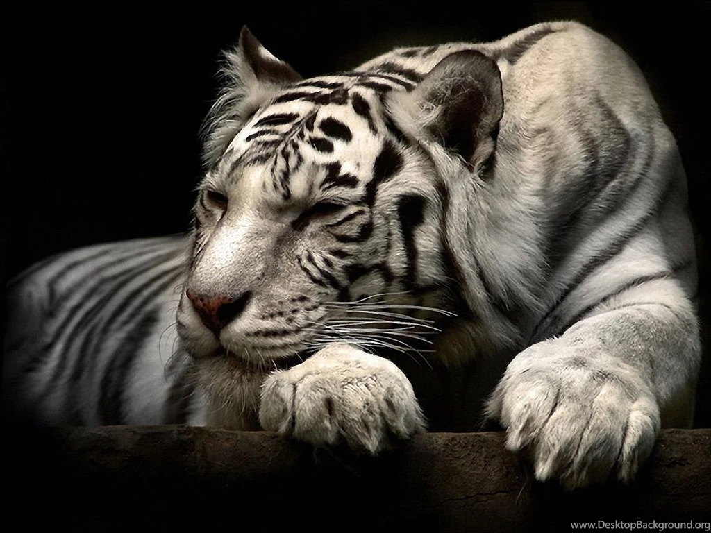 3D Wallpapers Add An Extra Dimension To Your Desktop Backgrounds