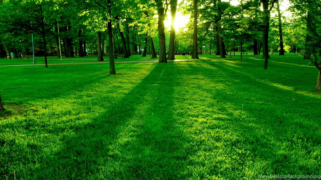 Best 4k HD Wallpapers X318I Wallniku HD Wallpapers