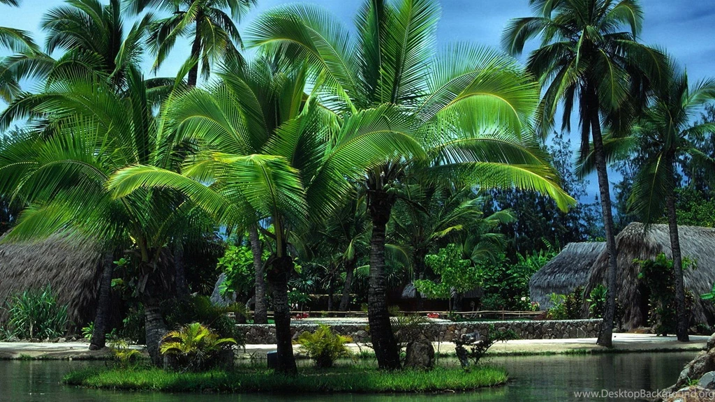 Landscape Wallpapers Page 7