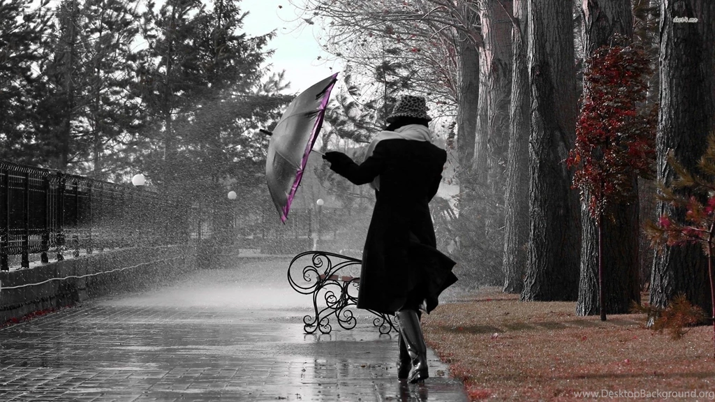Rain Wallpapers