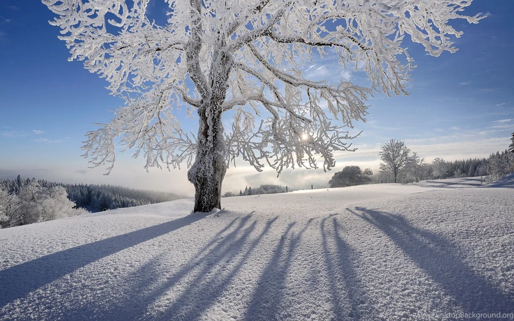 Wonderful Winter Scene Colorado Fence Meadow Snow Clouds Mountains ...