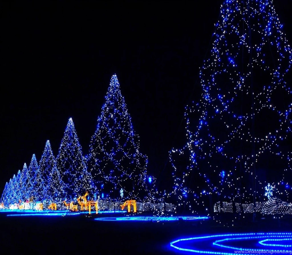 Christmas+trees.jpg