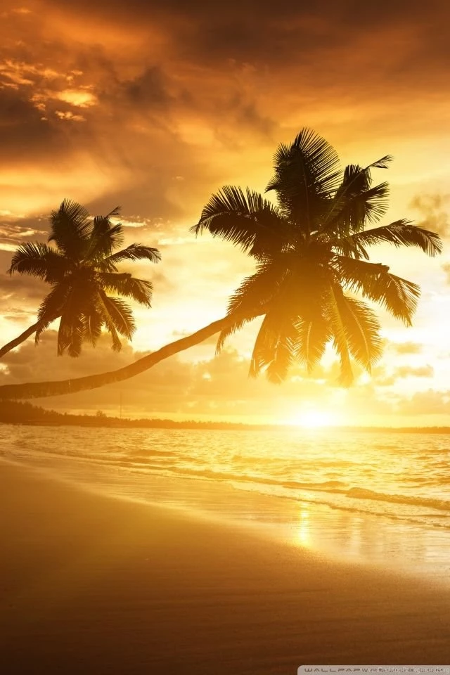 Amazing HD Desktop Wallpapers : High Definition : Fullscreen ...