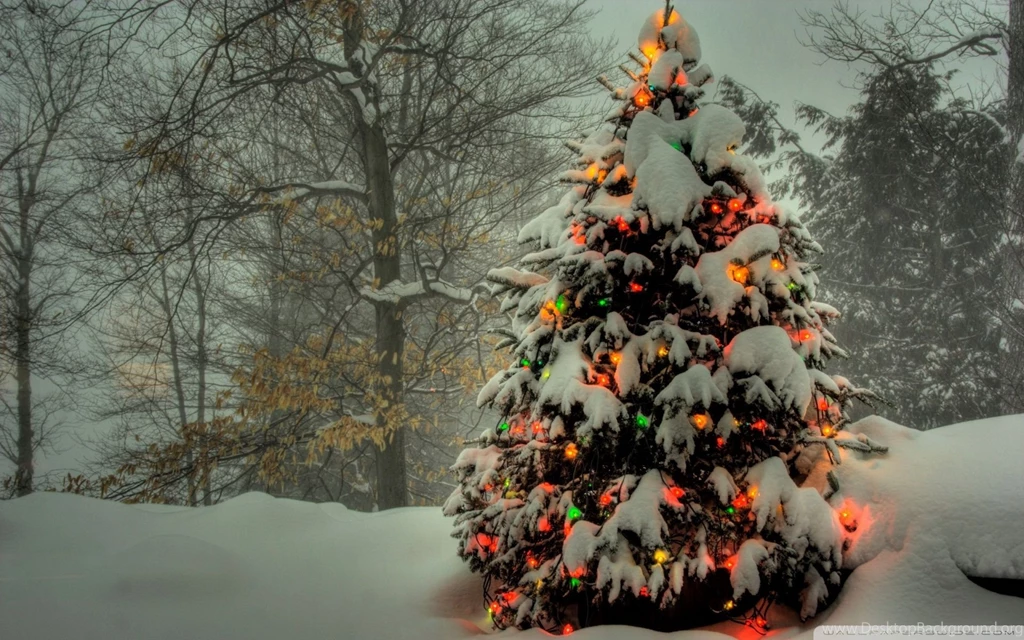 Christmas Tree Wallpapers for Windows 8 4 Funny And Amazing ...