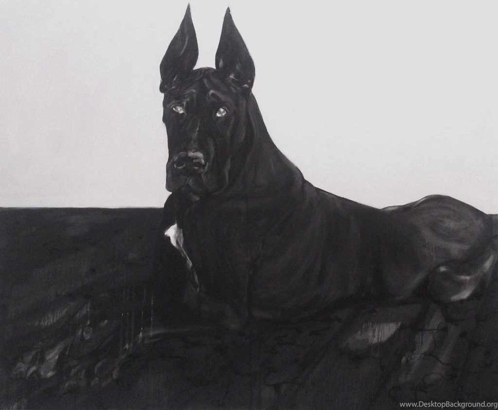 Great Dane HD Wallpapers , New Wallpapers, New Wallpapers