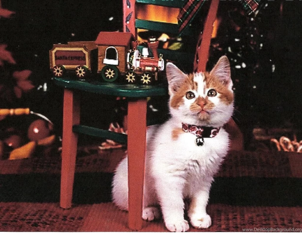 Cats Christmas Kitten Toy Train Toys Tree Chair Kittens Wallpapers ...