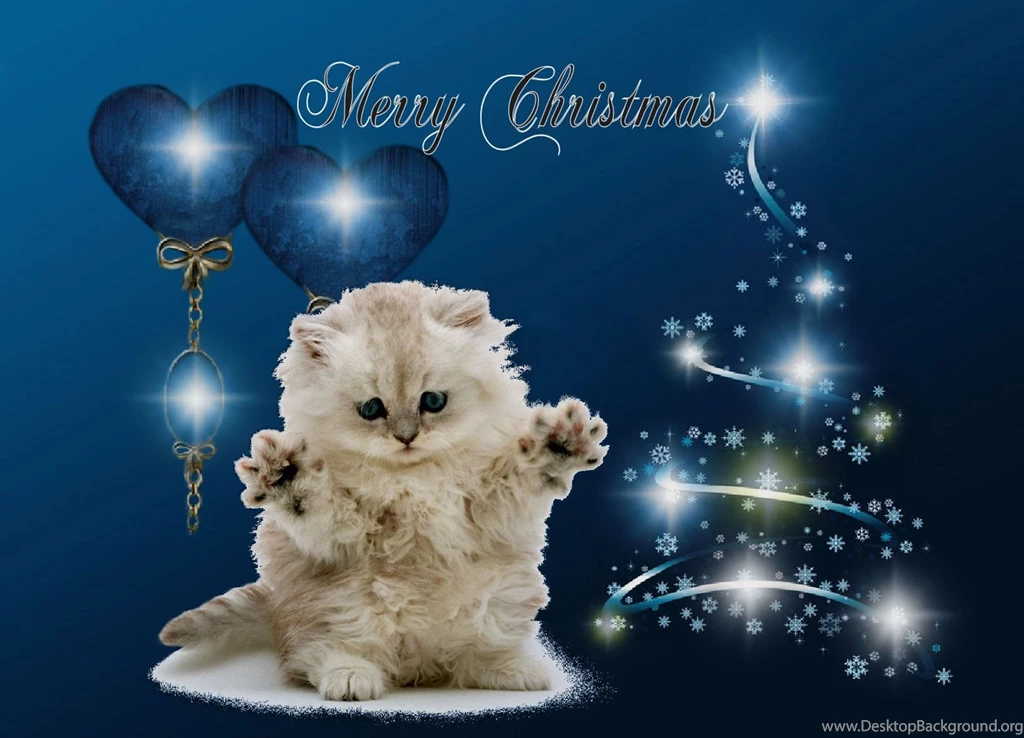 Christmas Wallpapers Kittens