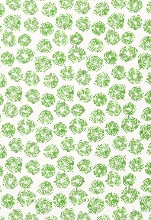 Alexa Stevenson Interior Decoration