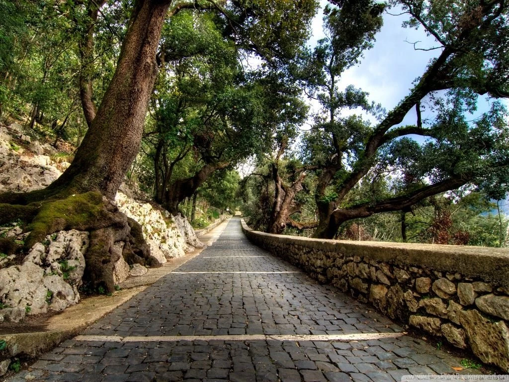 Cobblestone Path HD Desktop Wallpapers : Widescreen : High ...