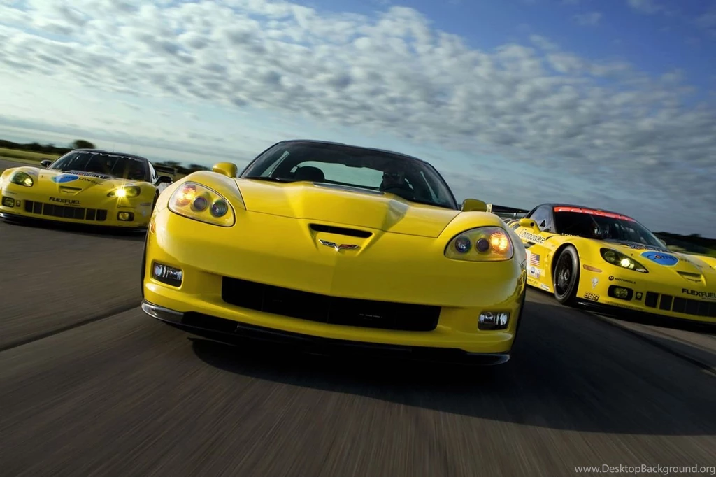 Chevrolet Corvette Racing C6.R GT2 2010 Photo 49989 Pictures At ...
