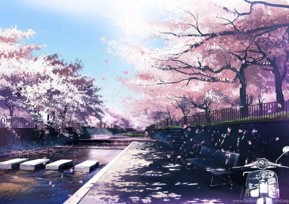 Sakura Backgrounds Wallpapers Cave
