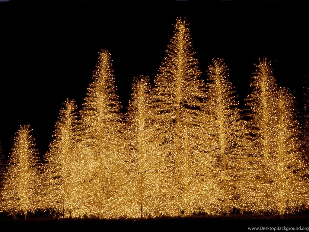 Christmas Lights HD Desktop Backgrounds Wallpapers 126   HD ...