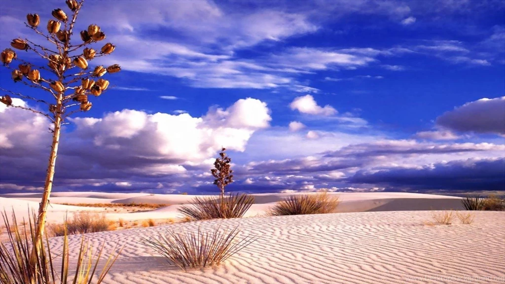 Best HD Nature Desert Theme Wallpapers.jpg