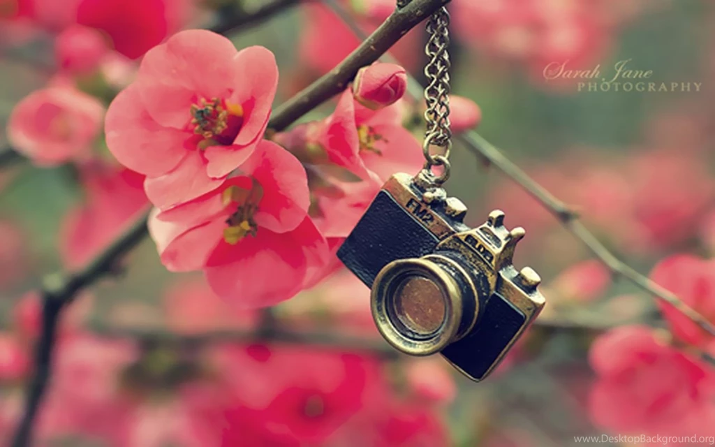 Camera Computer Wallpapers, Desktop Backgrounds