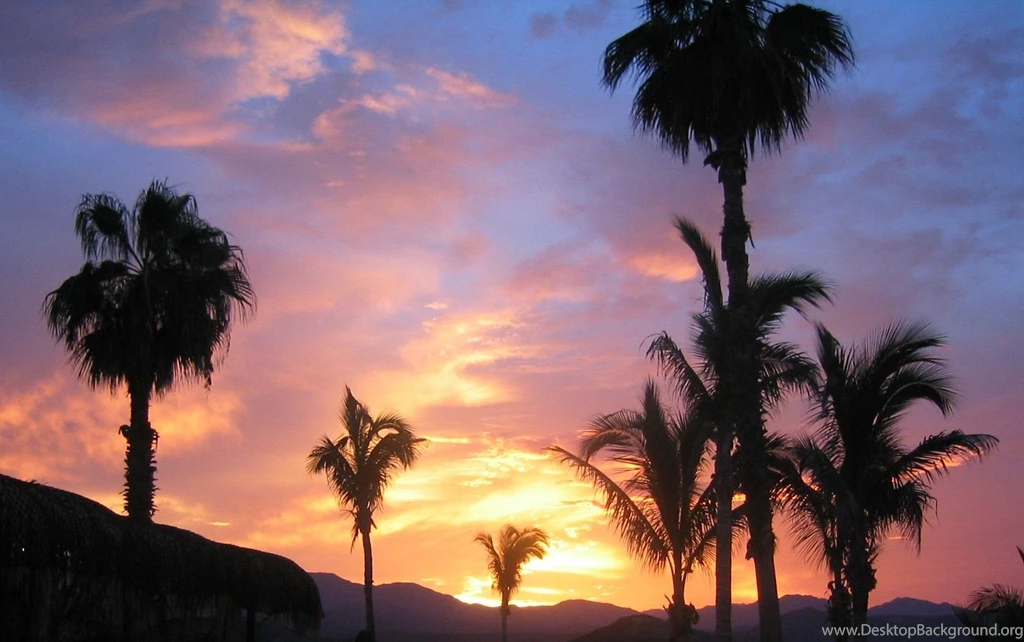 Cool Wallpaper, Picture Of A Sunset At Rancho Leonero Near Cabo ...