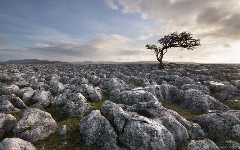 Yorkshire Dales Limestone Desert Wallpapers   Free Wide HD Wallpapers